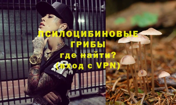 2c-b Балабаново